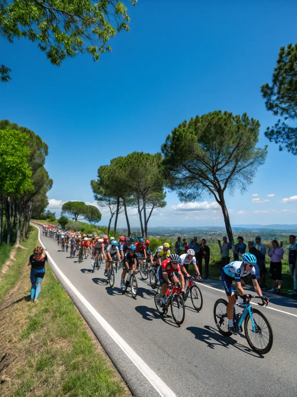 A dynamic image of cyclists participating in a competitive cycling event organized by VELO CLUB ALBINIEN, emphasizing the club's role in promoting sporting excellence.